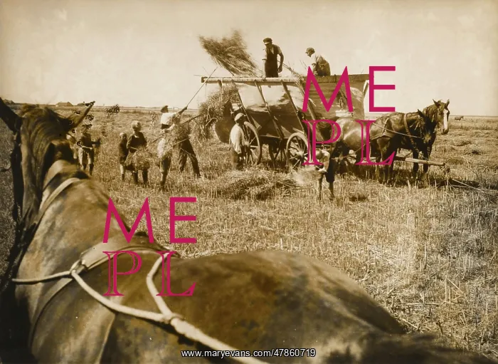  : German harvest 1937