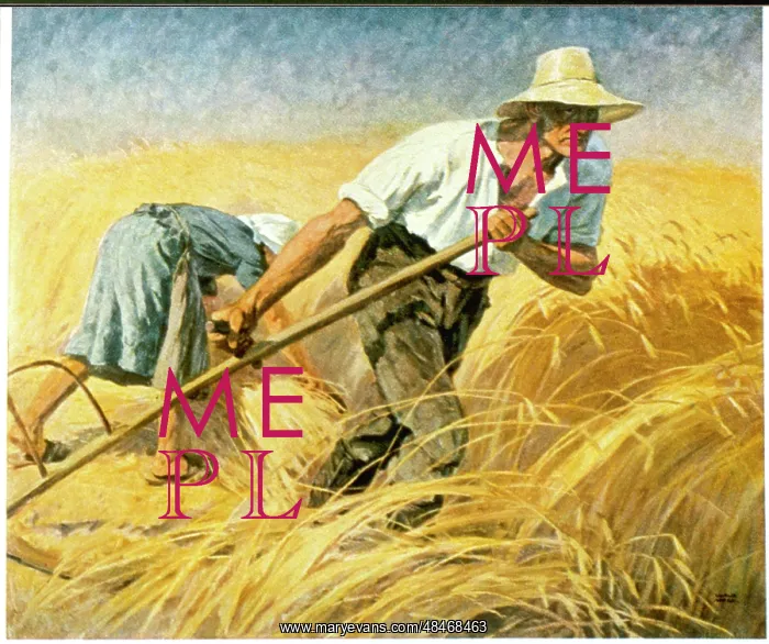  : GERMAN HARVEST SCENE