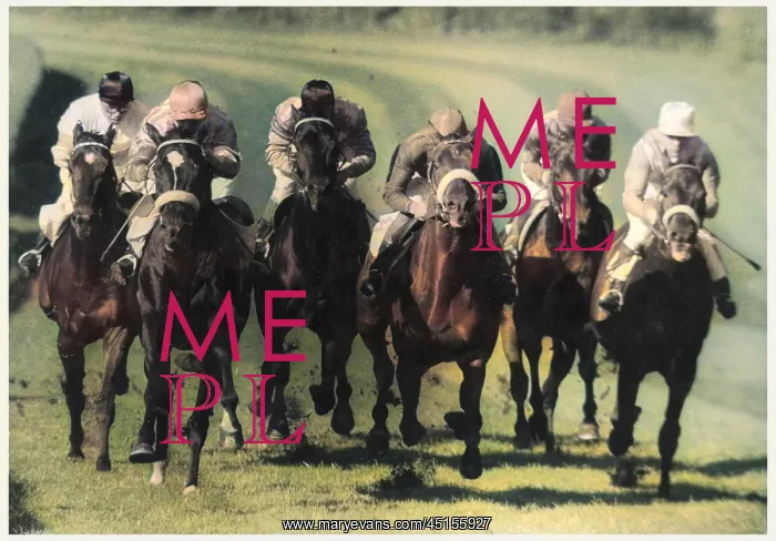 : GERMAN HORSE RACING : GERMAN HORSE RACING
