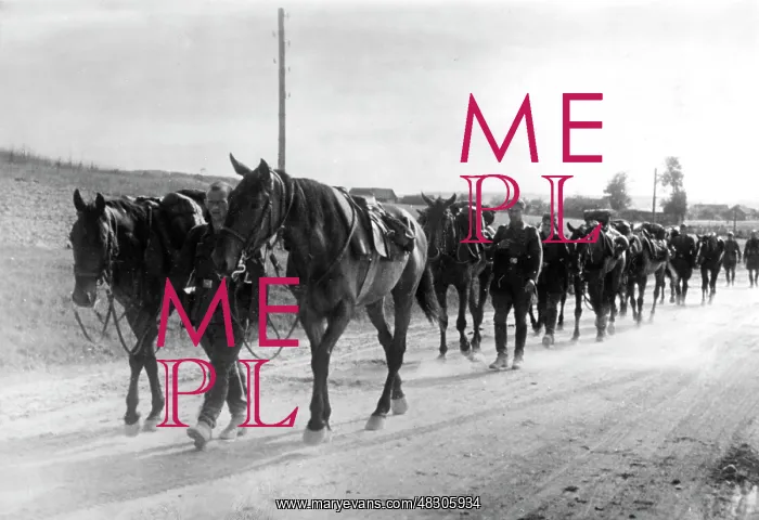 : German horsemen on the Eastern Front, 1941 : German horsemen on the Eastern Front, 1941
