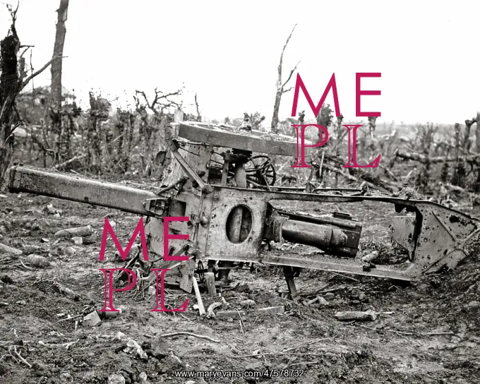 : German howitzer, Martinpuich, Somme, Western Front, WW1 : German howitzer, Martinpuich, Somme, Western Front, WW1
