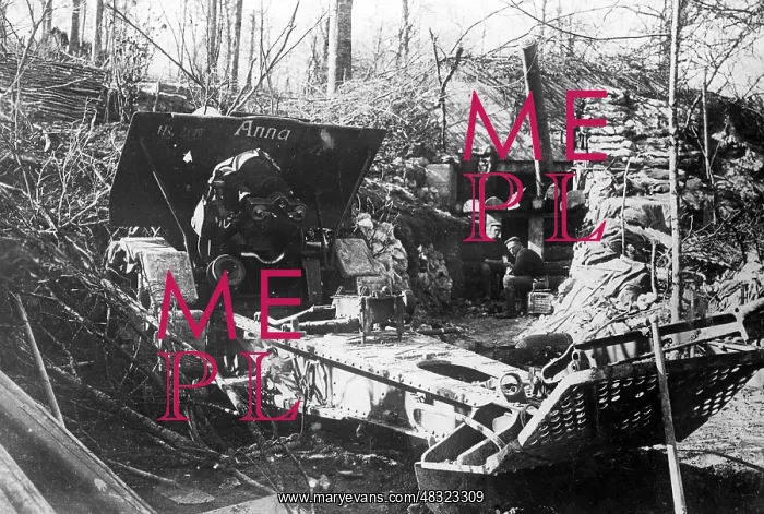 : German howitzer on the Western front, 1917 : German howitzer on the Western front, 1917