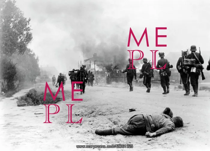 : German infantry on the advance on the Eastern Front, 1941 : German infantry on the advance on the Eastern Front, 1941
