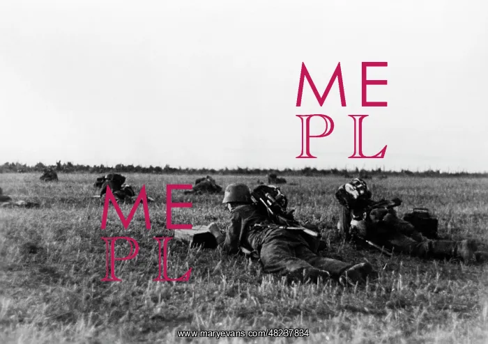 : German infantry before an attack in the Dnieper area, 1941 : German infantry before an attack in the Dnieper area, 1941