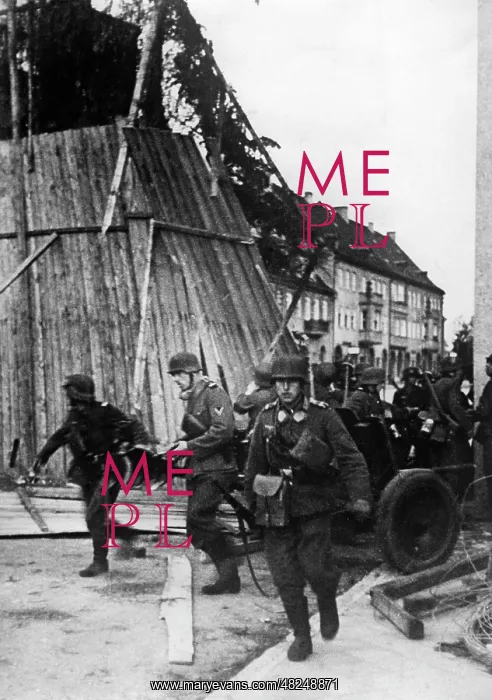 : German infantry at the beginning of the Russian campaign : German infantry at the beginning of the Russian campaign