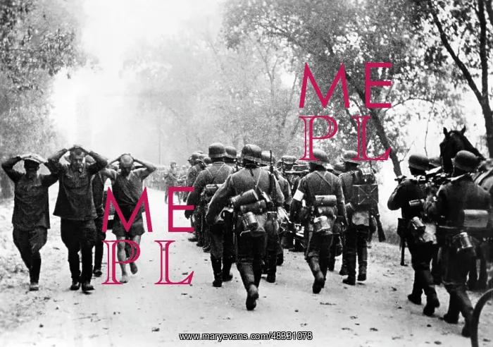: German infantry at the beginning of the Russian campaign : German infantry at the beginning of the Russian campaign