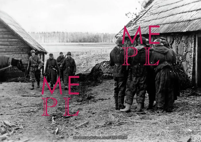 : German infantry in the Courland Bridgehead, 1945 : German infantry in the Courland Bridgehead, 1945