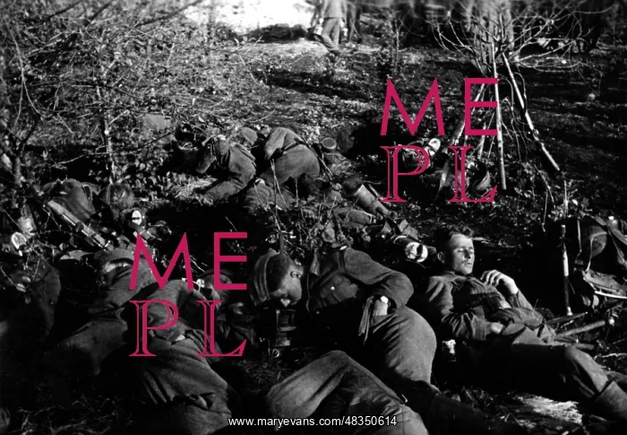 : German Infantry on the Donets, June 1942 : German Infantry on the Donets, June 1942
