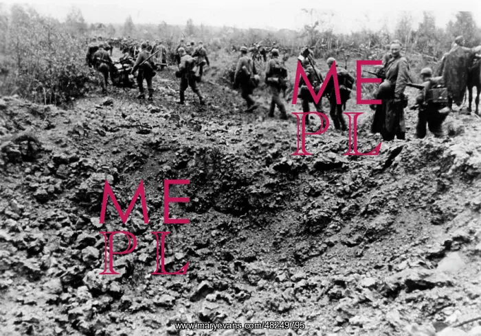 : German infantry on the Eastern front at Borodino, 1941 : German infantry on the Eastern front at Borodino, 1941