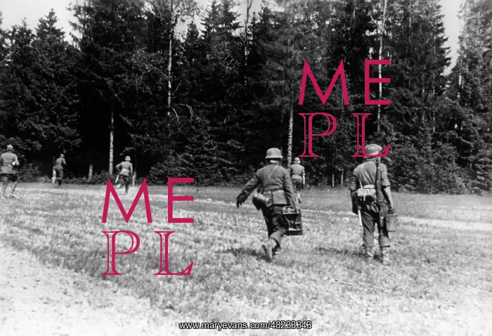 : German infantry on the Eastern Front, 1941 : German infantry on the Eastern Front, 1941