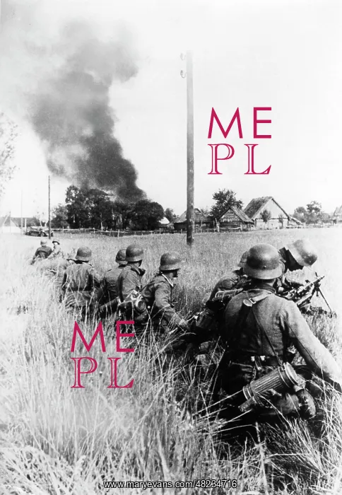 : German infantry on the Eastern Front, 1941 : German infantry on the Eastern Front, 1941