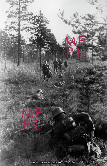 : German infantry on the Eastern Front, 1941 : German infantry on the Eastern Front, 1941
