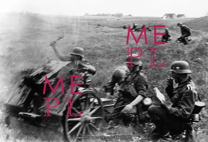 : German infantry on the Eastern Front, 1941 : German infantry on the Eastern Front, 1941