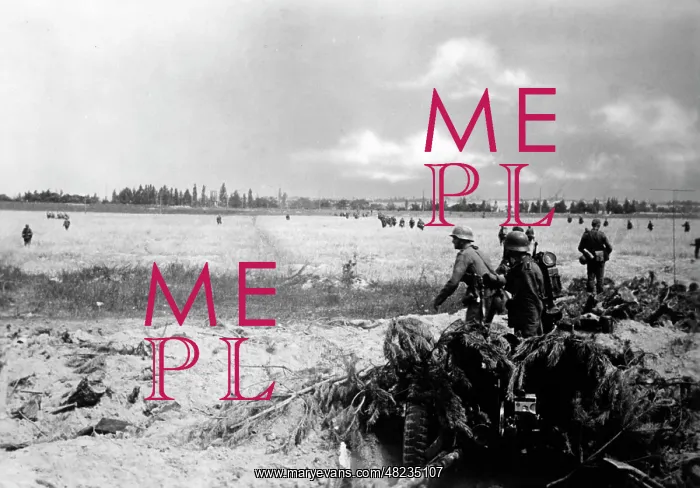 : German infantry on the Eastern Front, 1941 : German infantry on the Eastern Front, 1941