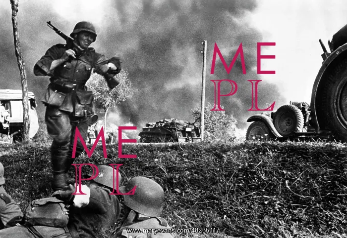 : German infantry on the Eastern Front, 1941 : German infantry on the Eastern Front, 1941