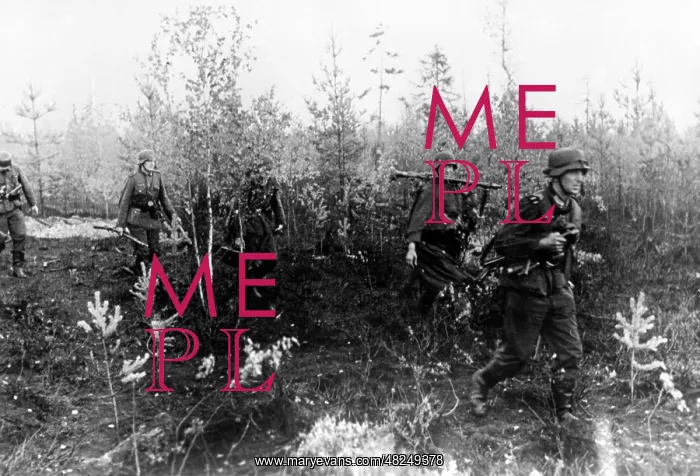 : German infantry on the Eastern Front, 1941 : German infantry on the Eastern Front, 1941