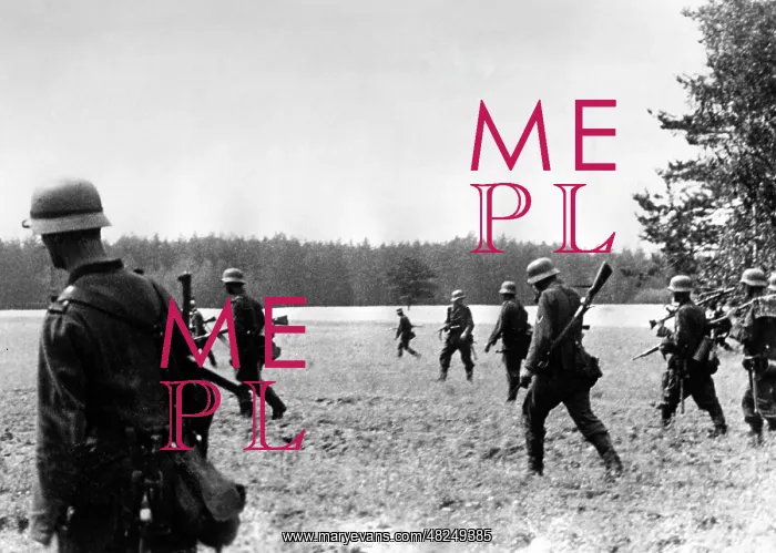  : German infantry on the Eastern Front, 1941