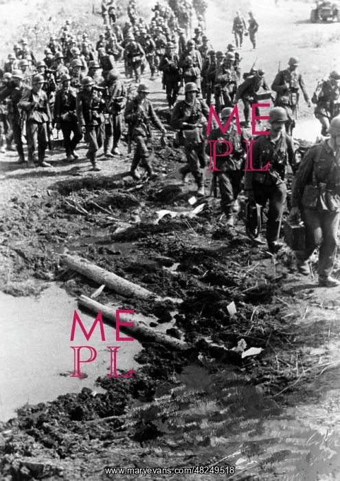 : German infantry on the Eastern Front, 1941 : German infantry on the Eastern Front, 1941