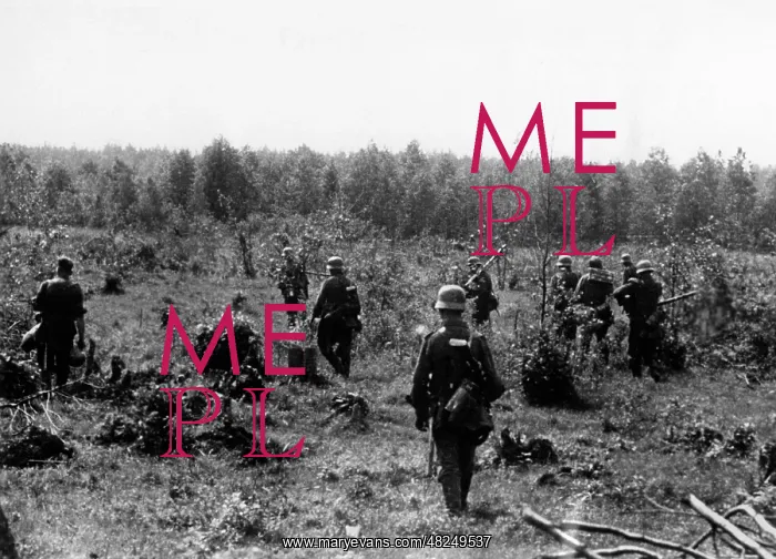 : German infantry on the Eastern Front, 1941 : German infantry on the Eastern Front, 1941
