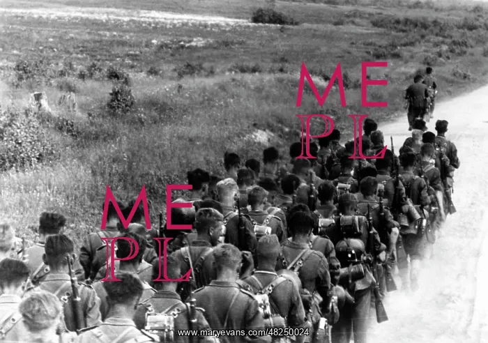 : German infantry on the Eastern Front, 1941 : German infantry on the Eastern Front, 1941
