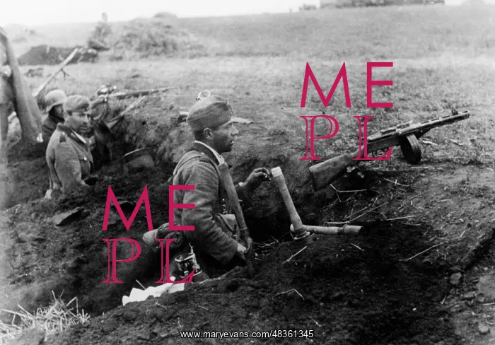 : German infantry on the Eastern Front, 1941 : German infantry on the Eastern Front, 1941