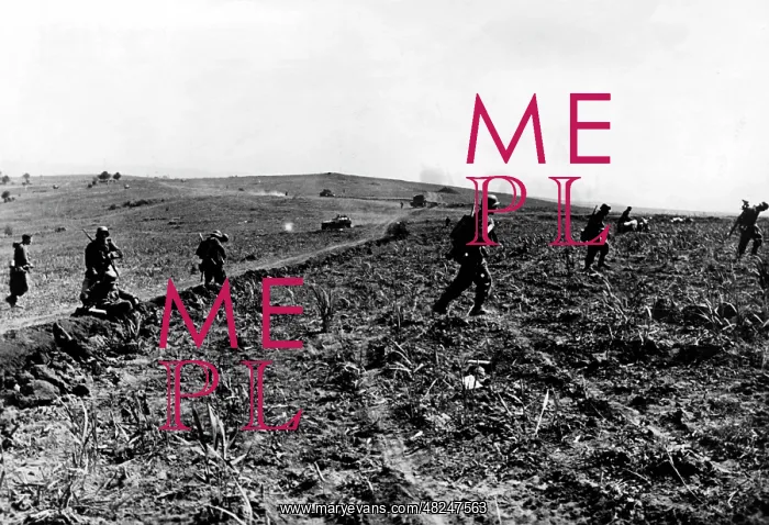 : German infantry during fights in Romania, 1944 : German infantry during fights in Romania, 1944