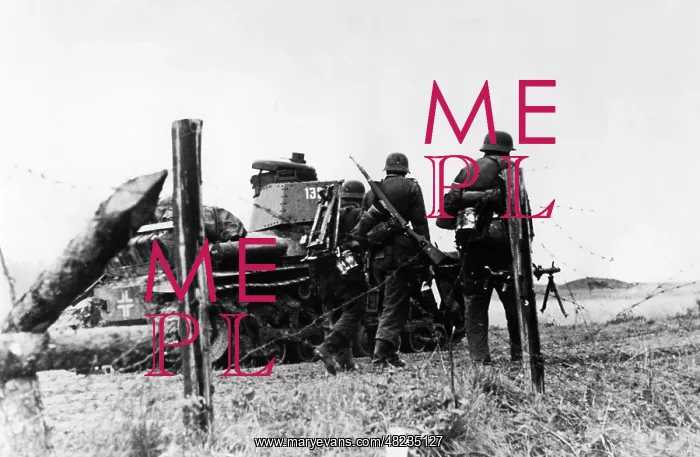 : German infantry and tanks on the Eastern Front, 1941 : German infantry and tanks on the Eastern Front, 1941