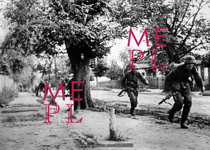 : German infantry in urban warfare on the Eastern Front, 1941 : German infantry in urban warfare on the Eastern Front, 1941