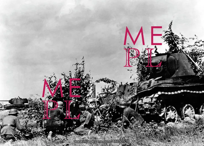 : German infantry on the Voronezh Front, 1942 : German infantry on the Voronezh Front, 1942