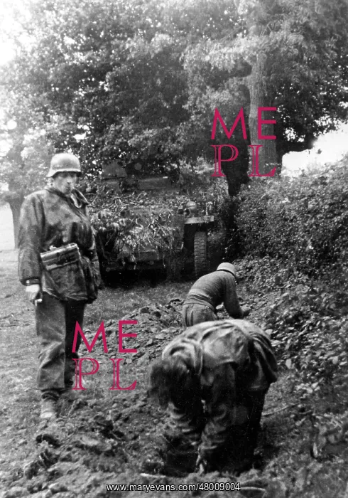 : German infantry on the Western Front, 1944 : German infantry on the Western Front, 1944