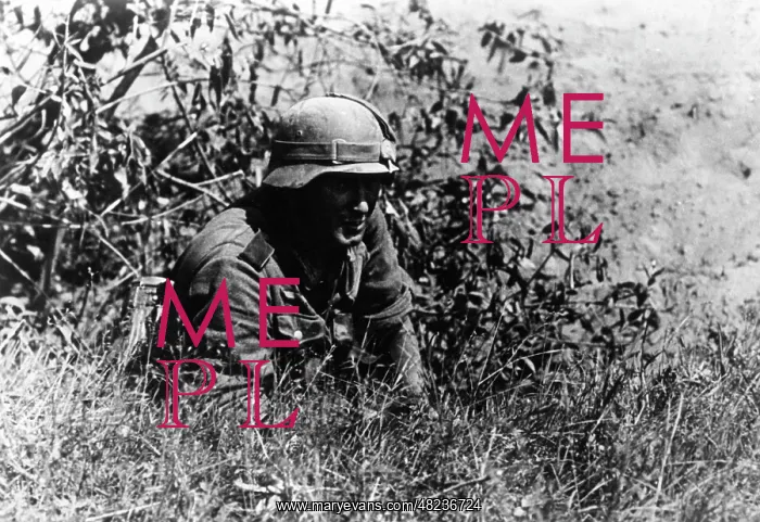 : German infantryman on the Eastern Front, 1941 : German infantryman on the Eastern Front, 1941