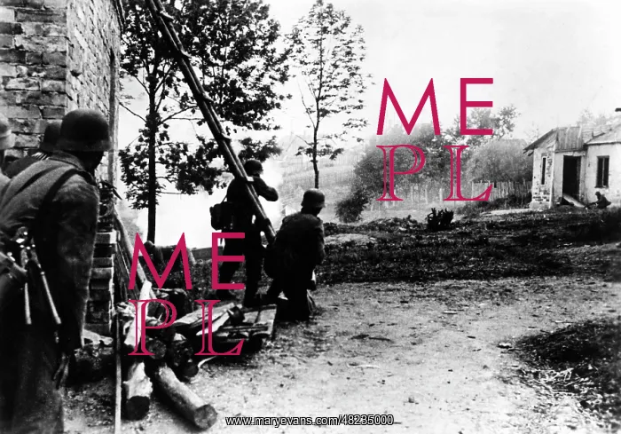: German infantrymen in action on the Eastern Front, 1941 : German infantrymen in action on the Eastern Front, 1941