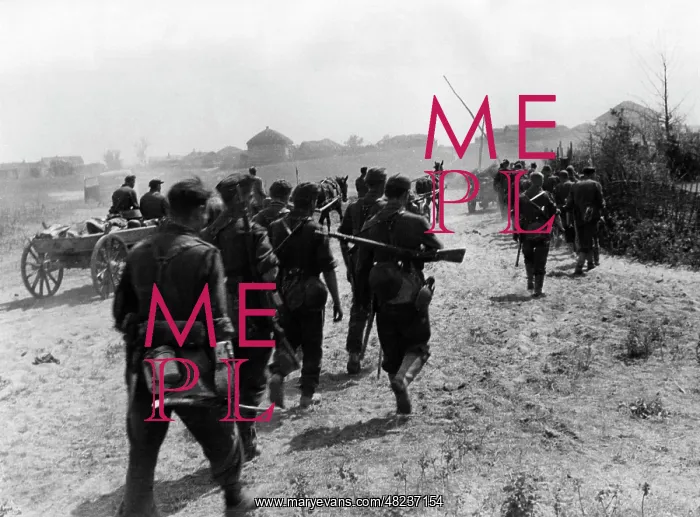 : German infantrymen advance in Ukraine, 1941 : German infantrymen advance in Ukraine, 1941