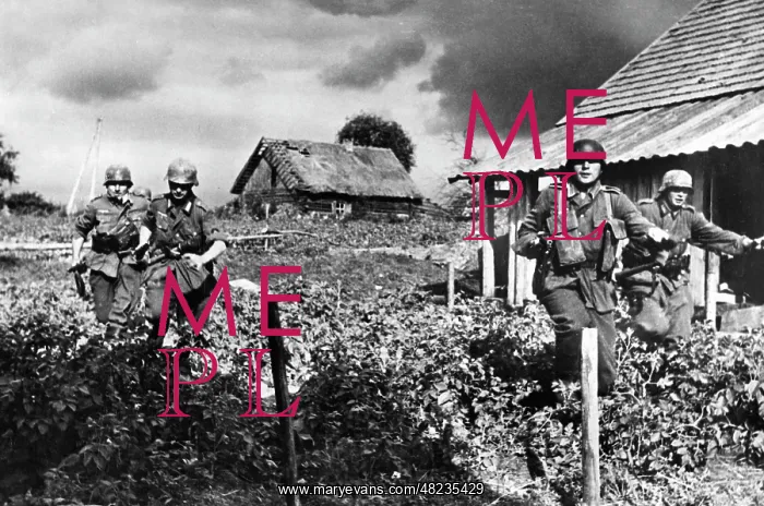: German infantrymen on the Eastern Front, 1941 : German infantrymen on the Eastern Front, 1941