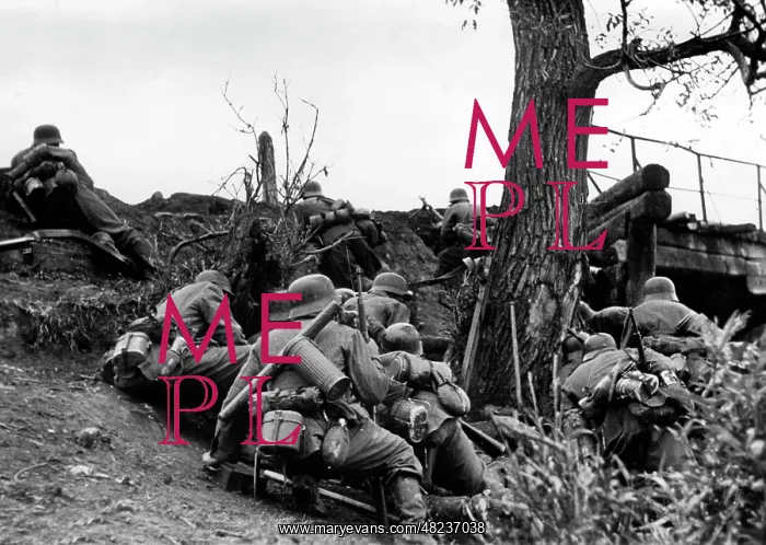 : German infantrymen fighting on the southern Eastern Front : German infantrymen fighting on the southern Eastern Front