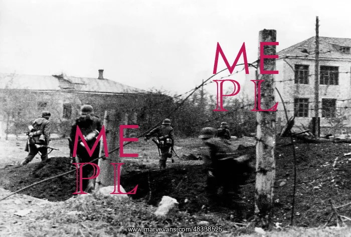 : German infantrymen on the southern Eastern front, May 1942 : German infantrymen on the southern Eastern front, May 1942