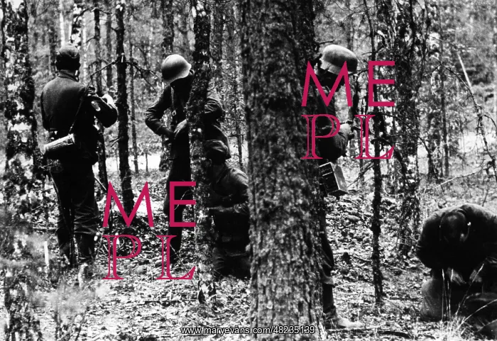 : German infantrymen taking prisoners on the Eastern Front : German infantrymen taking prisoners on the Eastern Front
