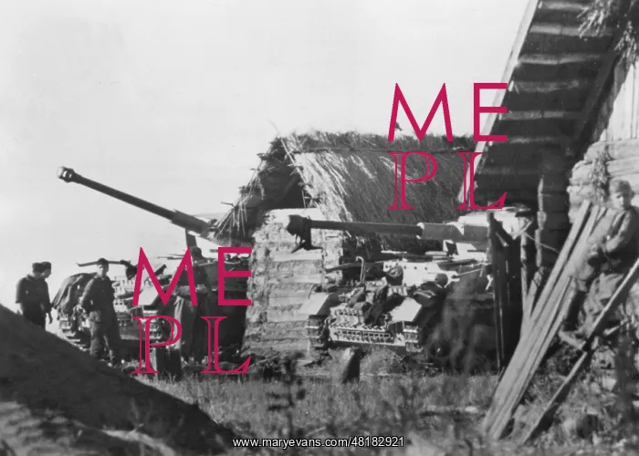 : German IV tanks on the Eastern front, 1943 : German IV tanks on the Eastern front, 1943