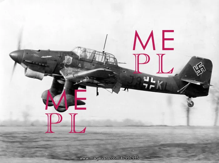 : German Junkers Ju-87 1941 : German Junkers Ju-87 1941