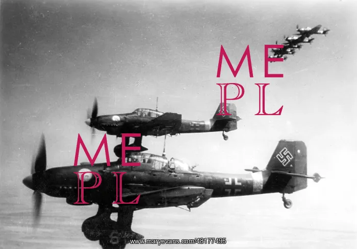 : A German Junkers JU 87 at the Eastern Front, 1942 : A German Junkers JU 87 at the Eastern Front, 1942
