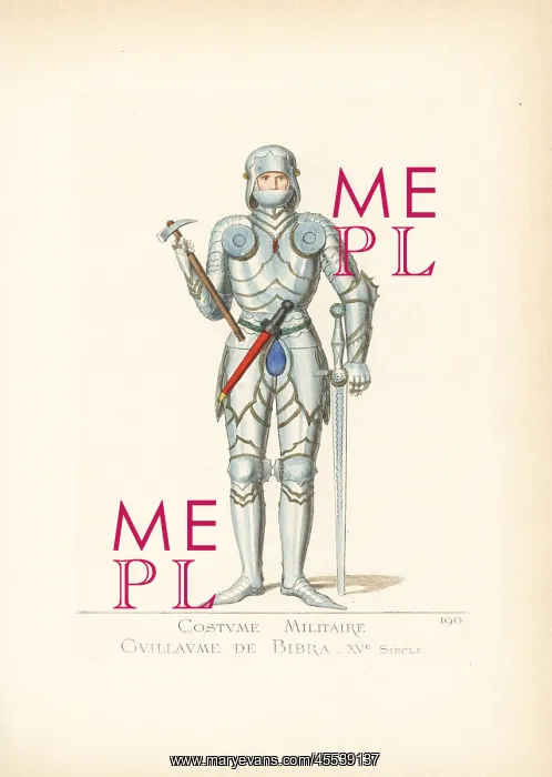 : German knight in armor, 15th century : German knight in armor, 15th century