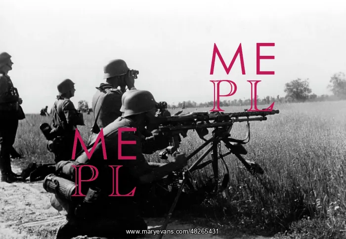 : German machine gun - Eastern Front, 1941 : German machine gun - Eastern Front, 1941