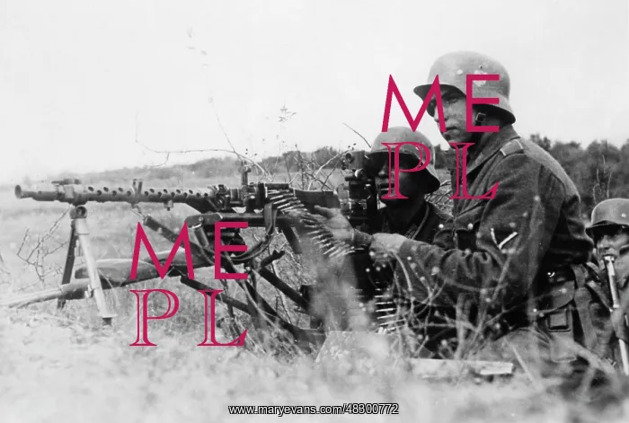 : German machine gun post in the Crimea, 1941 : German machine gun post in the Crimea, 1941