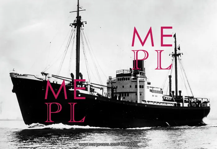 : German merchant ship MS Lech, 1941 : German merchant ship MS Lech, 1941