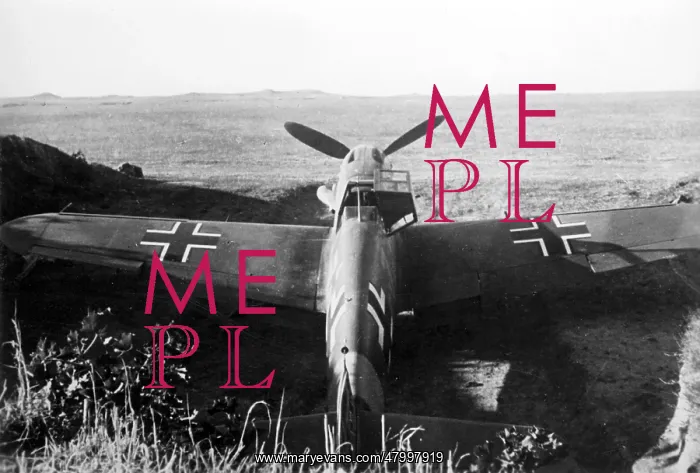 : German Messerschmitt Me 109 on the Eastern Front, 1942 : German Messerschmitt Me 109 on the Eastern Front, 1942