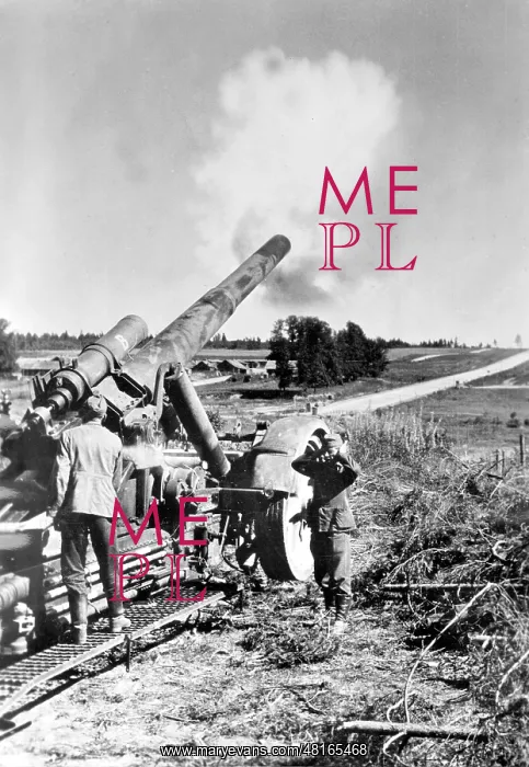 : German mortar on the Eastern Front, 1943