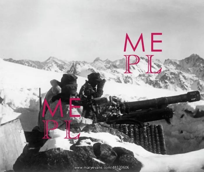 : German mountain artillery in the Caucasus, 1942 : German mountain artillery in the Caucasus, 1942