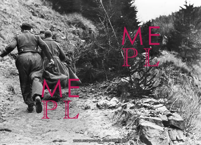 : German mountain artillery in the Vosges, 1945 : German mountain artillery in the Vosges, 1945