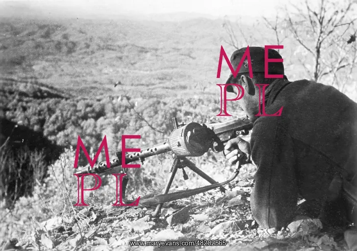 : German mountain infantry man in the Caucasus, 1942 : German mountain infantry man in the Caucasus, 1942