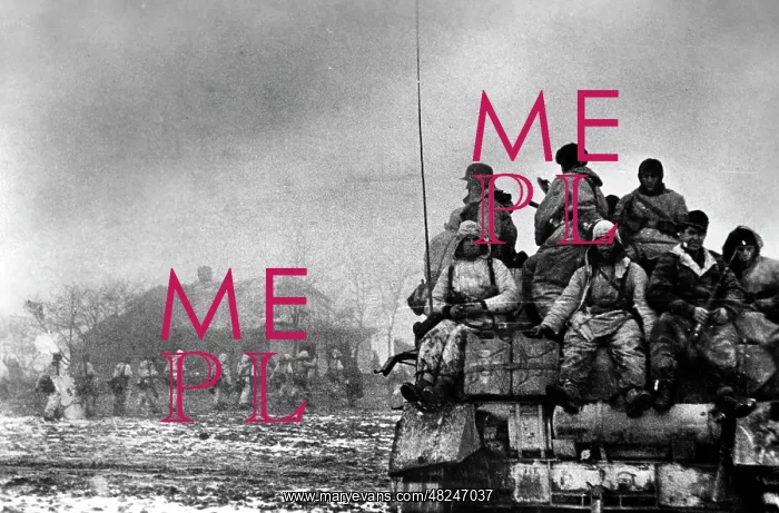 : German mountain infantrymen on the Eastern Front, 1944 : German mountain infantrymen on the Eastern Front, 1944